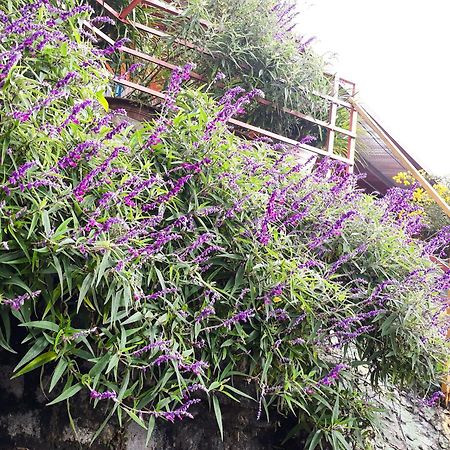 Sapa Tatu Homestay エクステリア 写真