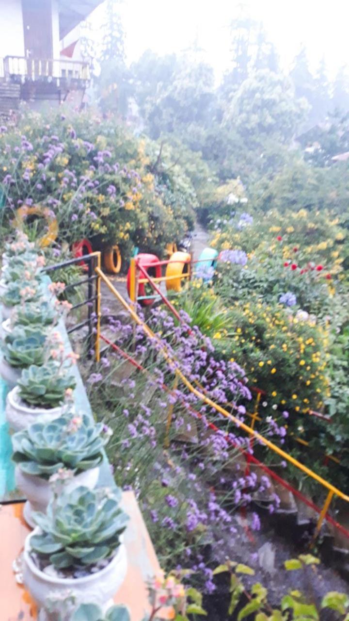 Sapa Tatu Homestay エクステリア 写真