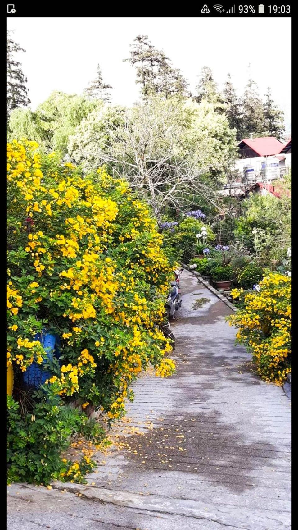 Sapa Tatu Homestay エクステリア 写真